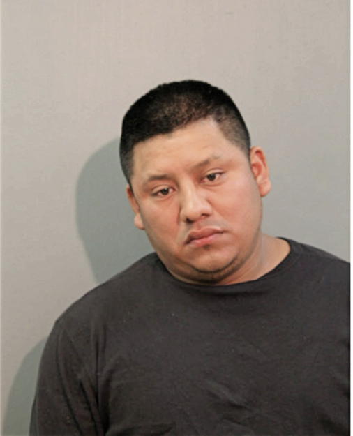 RAFAEL E TORRENTO DIAZ, Cook County, Illinois