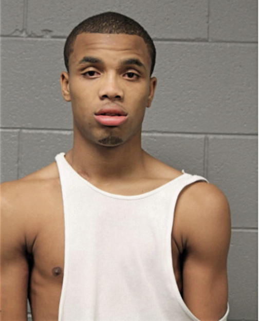 EDWARD C BROWN, Cook County, Illinois