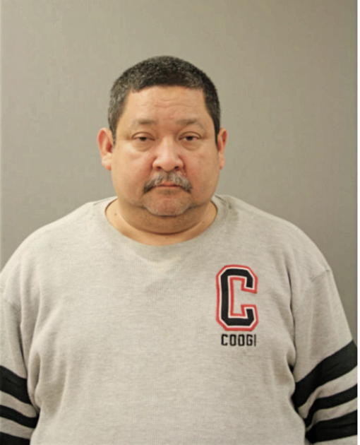 DOMINGO CASTANEDA, Cook County, Illinois