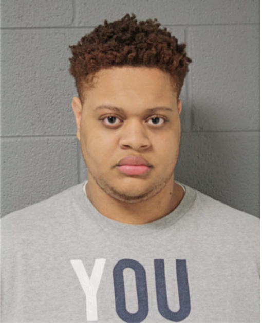 MICHAEL D DALTON, Cook County, Illinois