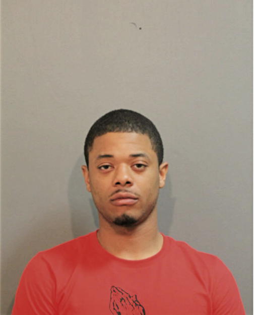 LEROY L ELLIS, Cook County, Illinois