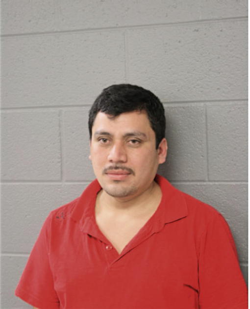 DAVID FLORES, Cook County, Illinois