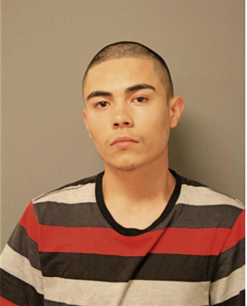 JUAN C FLORES, Cook County, Illinois