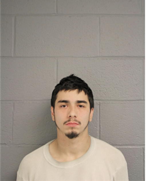 STEPHEN R HOLMES, Cook County, Illinois
