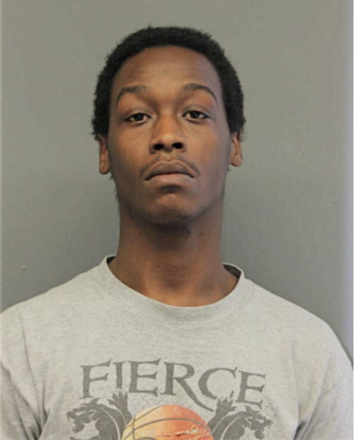 MICHAEL K LYDA, Cook County, Illinois