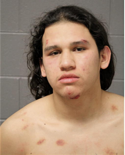 ALEXIS MEZA, Cook County, Illinois