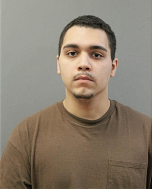 LUIS E OFRAY, Cook County, Illinois