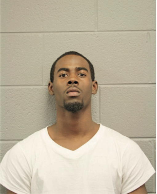 BRANDON PALMER, Cook County, Illinois