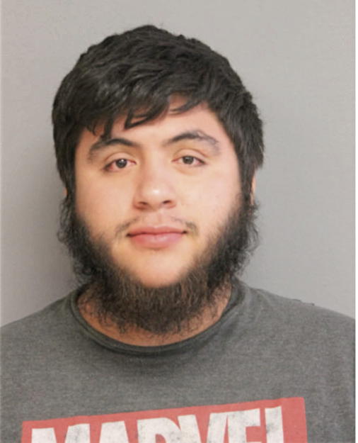 SERGIO M PLATA, Cook County, Illinois