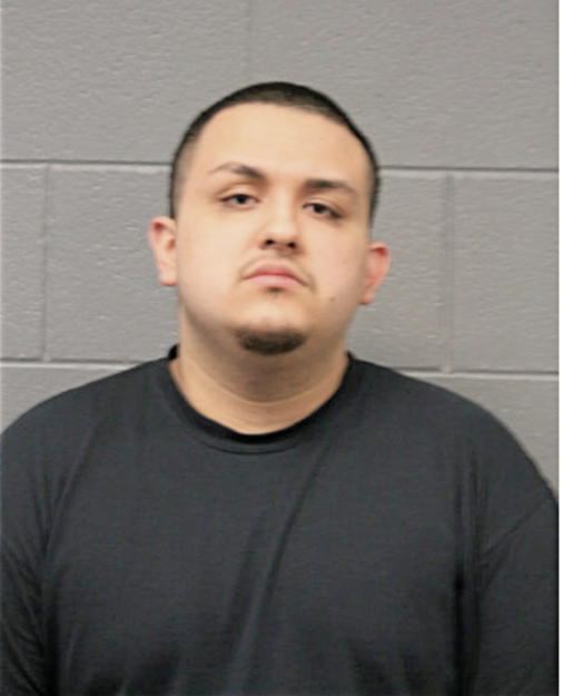 NOEL SAEZ, Cook County, Illinois