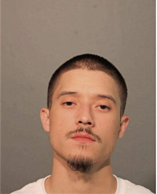 ANDY JOSE SANTANA, Cook County, Illinois