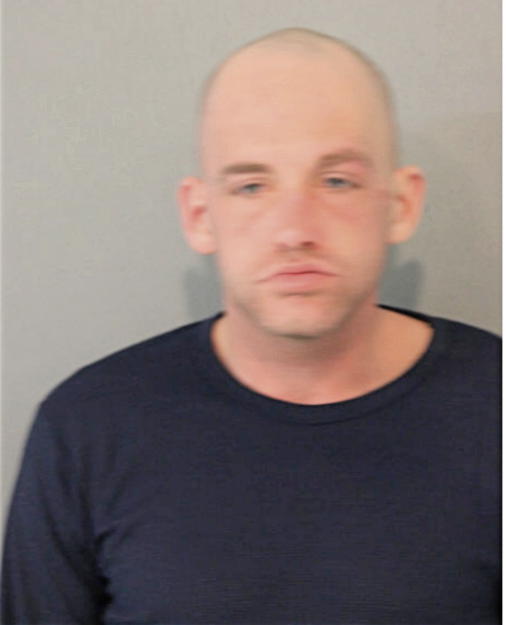 STEVEN P SHEPPARD, Cook County, Illinois