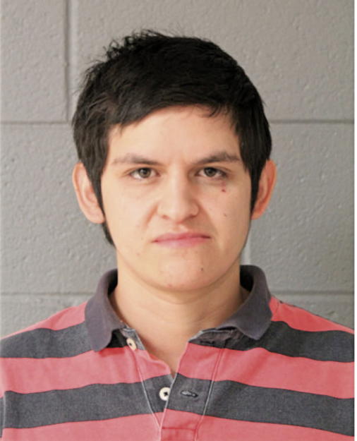 HORACIO VEGA, Cook County, Illinois
