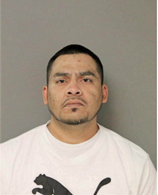 FAUSTO ZAVALETA, Cook County, Illinois