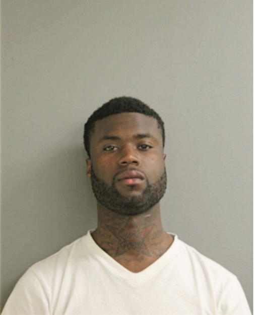 VINCENT D ARTIS, Cook County, Illinois