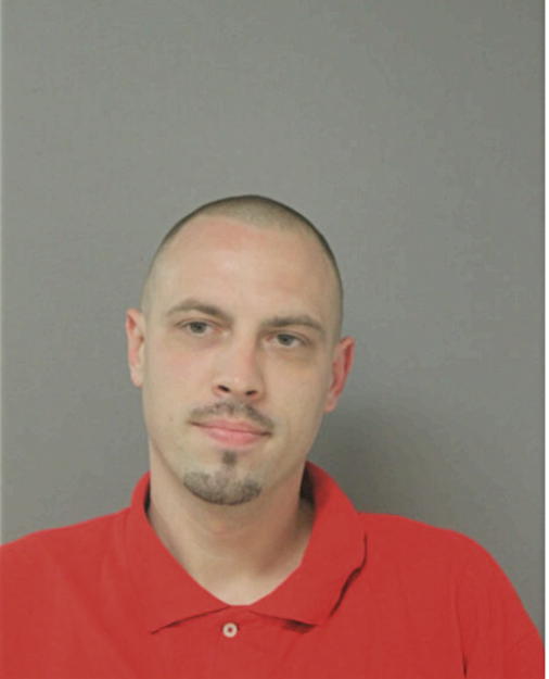 ROLANDAS BANYS, Cook County, Illinois