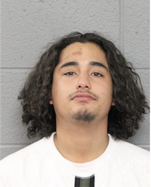 CHRISTIAN A BENAVIDES, Cook County, Illinois