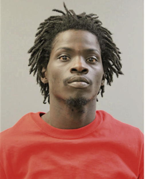 MICHAEL L BROWN, Cook County, Illinois