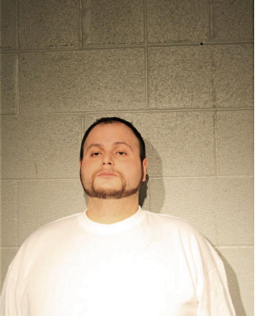 SALVADOR ESTBAN CALVILLO, Cook County, Illinois