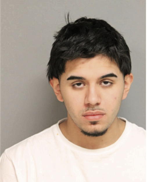 ALEXANDER DIAZ, Cook County, Illinois