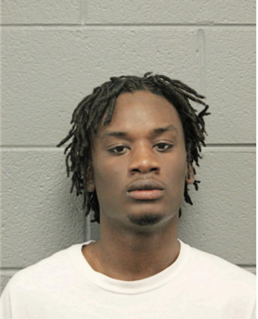 JOSHUA J EVANS, Cook County, Illinois