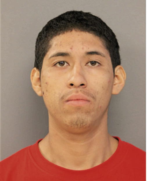 JESUS ALBERTO FAVELA-MONTELONGO, Cook County, Illinois