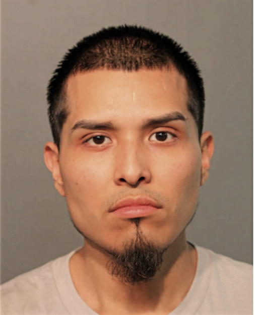 CARLOS A FERNANDEZ, Cook County, Illinois