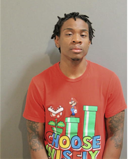 MARCUS P HANKTON, Cook County, Illinois