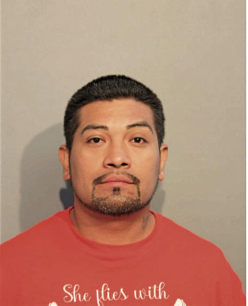 RAUL C HERNANDEZ, Cook County, Illinois