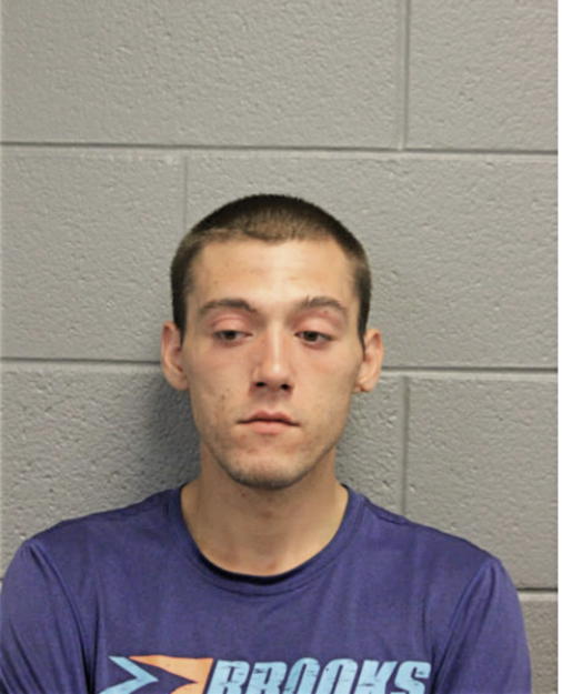 SILVAN KRZALIC, Cook County, Illinois