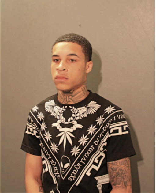 TOMMY T LANGSTON, Cook County, Illinois