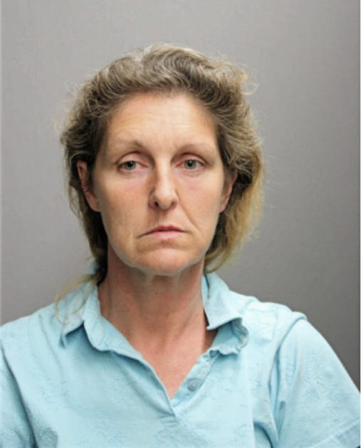 LAURIE F LAPENSEE, Cook County, Illinois