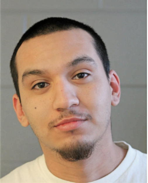 LIONEL OCHOA, Cook County, Illinois