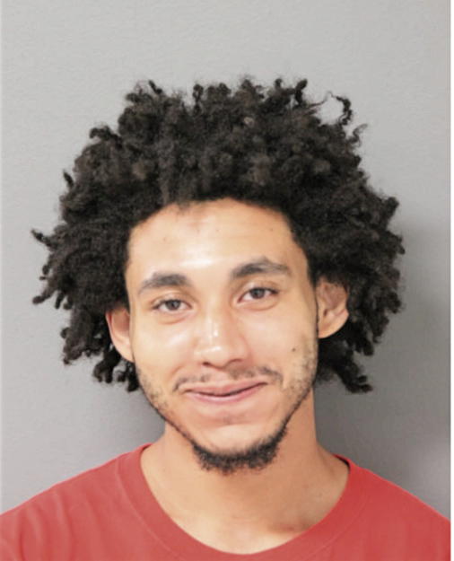 ERIC D PELT, Cook County, Illinois