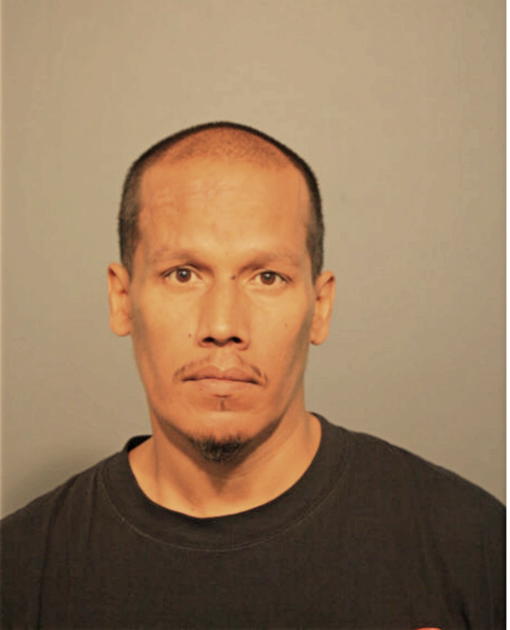 JOSE L PENA, Cook County, Illinois