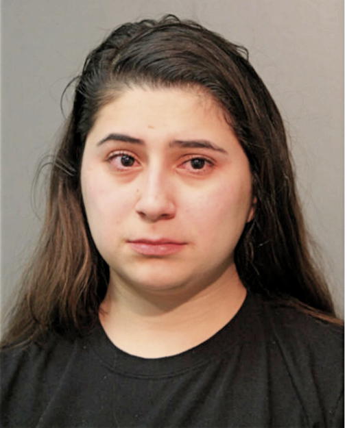 MEESHA M RASHEDI, Cook County, Illinois