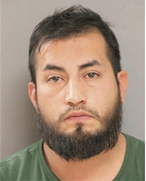 IRVING REVELES, Cook County, Illinois