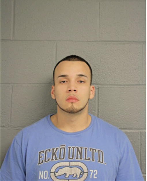 DANIEL A RIVERA, Cook County, Illinois