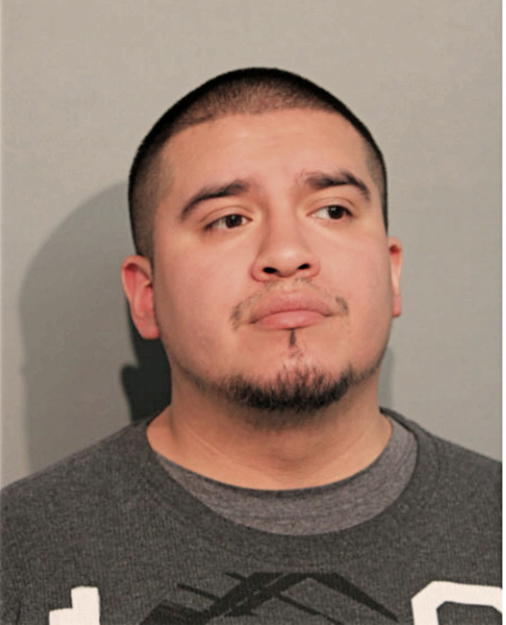 FABIAN O ROBLES, Cook County, Illinois