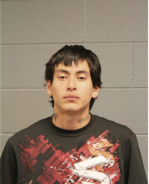 DOMINICO I ROJAS, Cook County, Illinois
