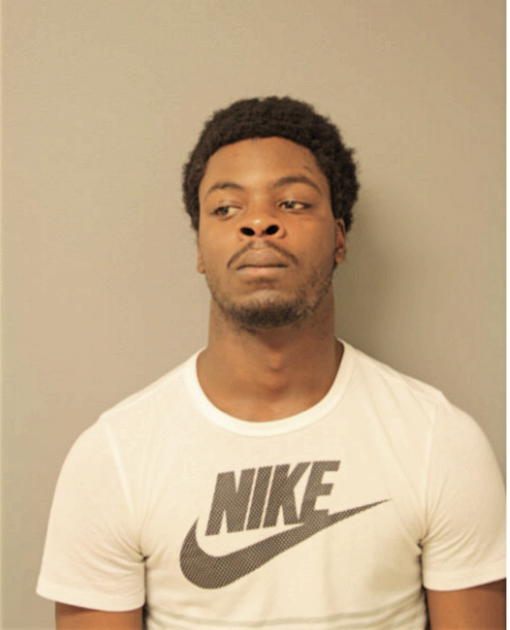 JAMES D SELVIE, Cook County, Illinois