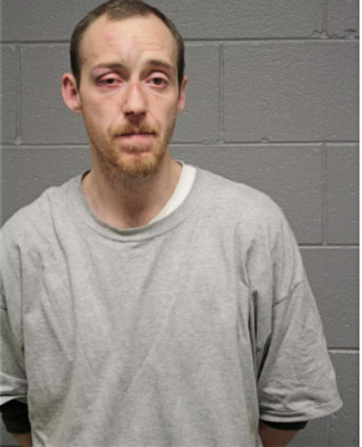 PATRICK J SULLIVAN, Cook County, Illinois