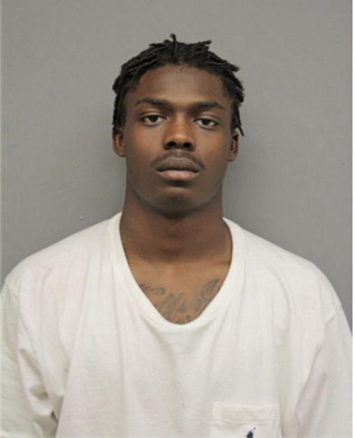 YENKA K SYKES, Cook County, Illinois