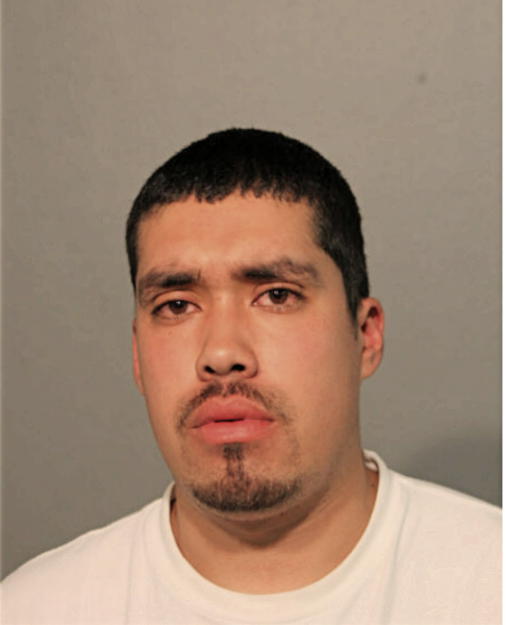 ROBERTO TORRES-GARCIA, Cook County, Illinois