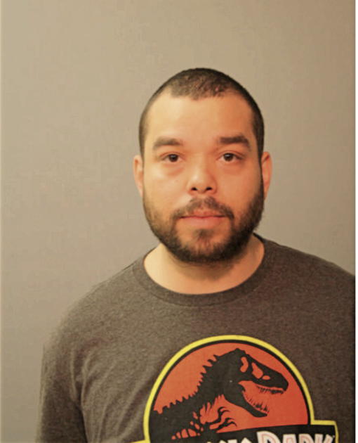 ORLANDO TORRES, Cook County, Illinois