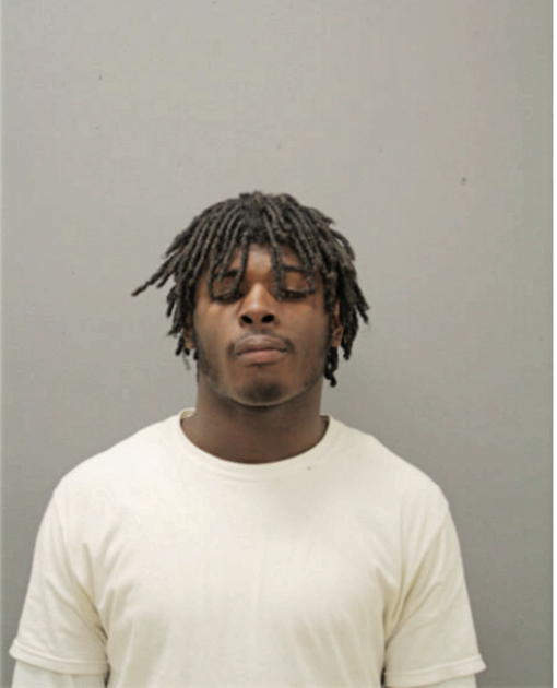 MAURICE W WARRIOR, Cook County, Illinois