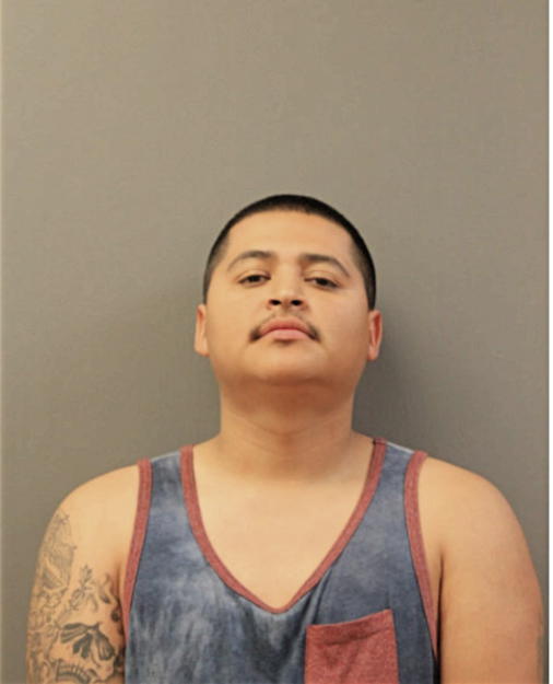JUAN A ALVAREZ, Cook County, Illinois