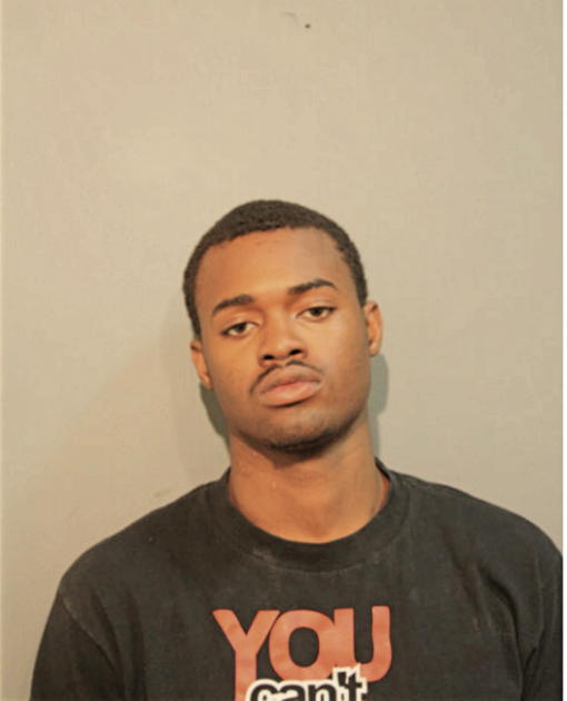 DERRICK L AUSTIN, Cook County, Illinois