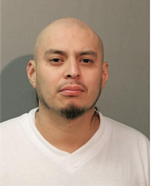 MIGUEL BOYAS, Cook County, Illinois