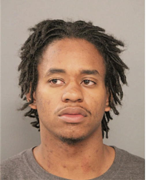 DANEE R BREWER, Cook County, Illinois